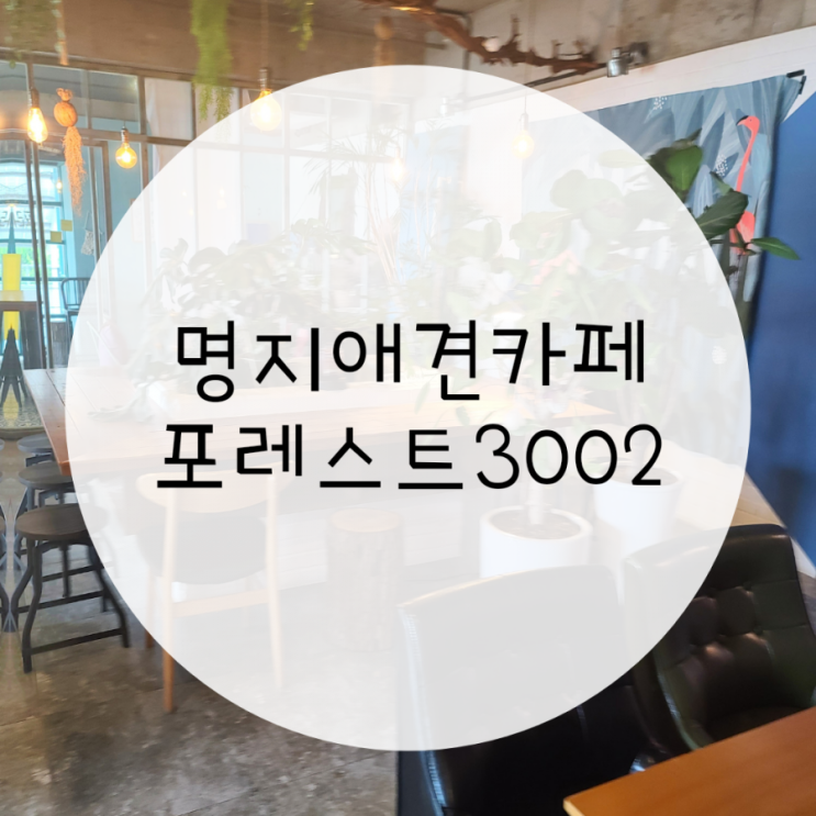 명지브런치카페 포레스트3002 애견동반카페