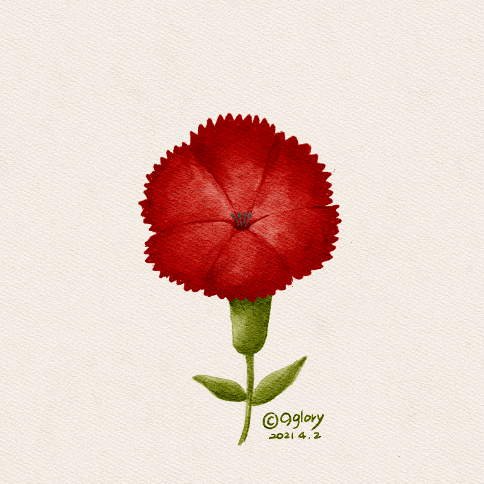  45일차-카네이션 꽃그림 프로크리에이트