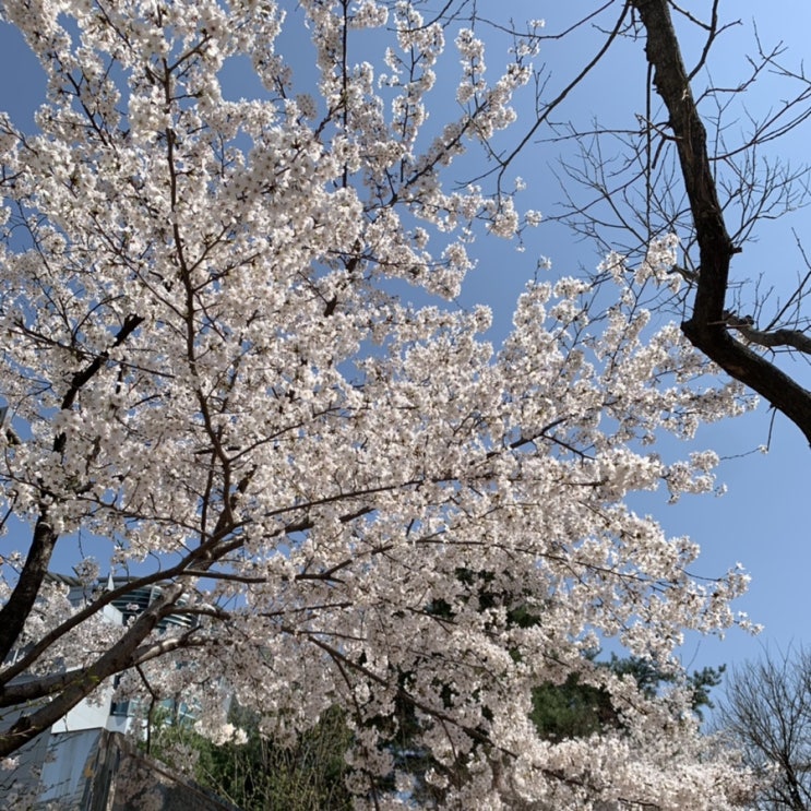  잎새달 이틀 ‘요즘 일상’