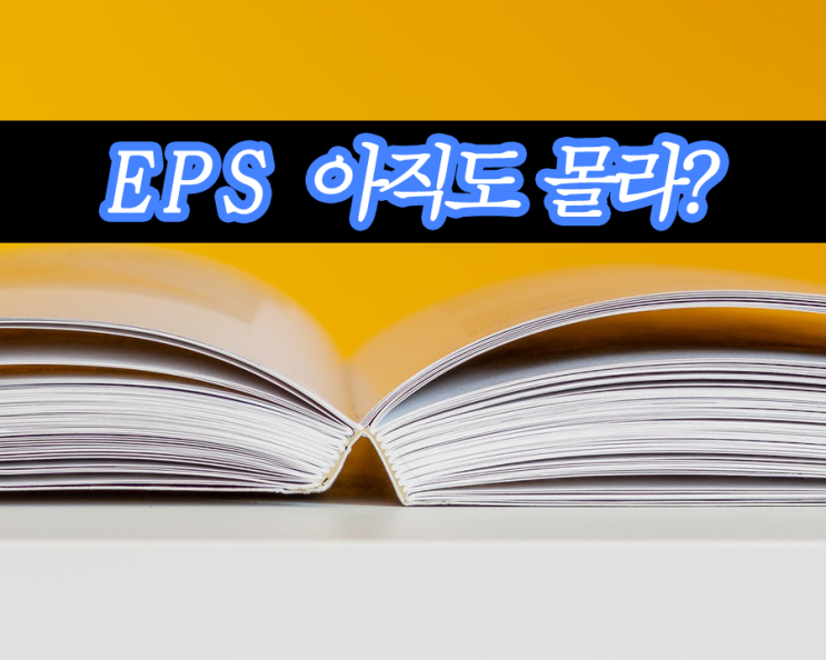  테스를 통해 알아본 EPS 의미와 적용.