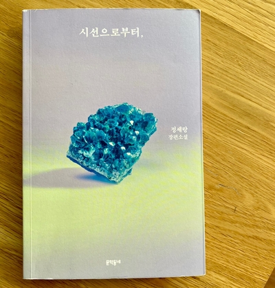 시선으로부터 , 정세랑