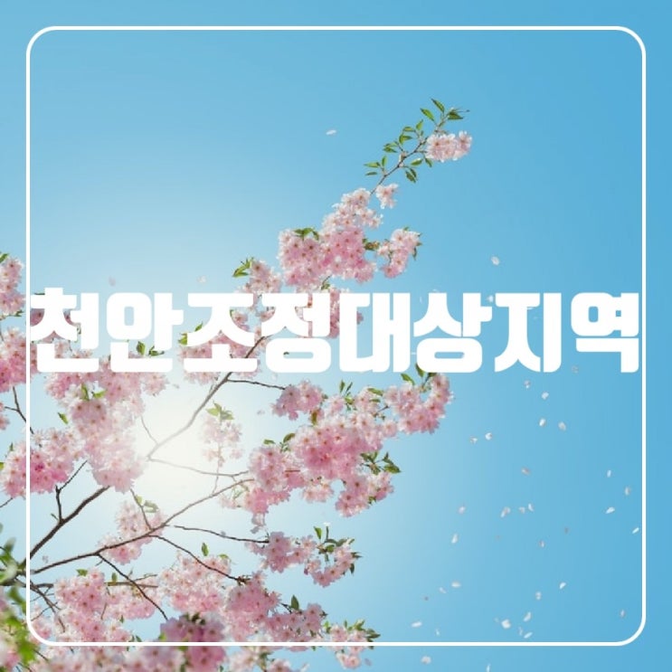  천안조정대상지역 살펴보기