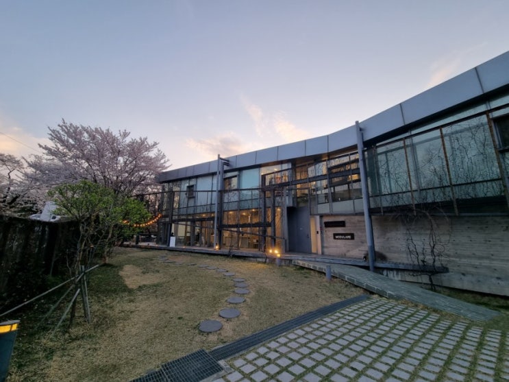  [용인 카페] 기흥 벚꽃 명소 '커피 라이커스' (재방문 의사 200%)
