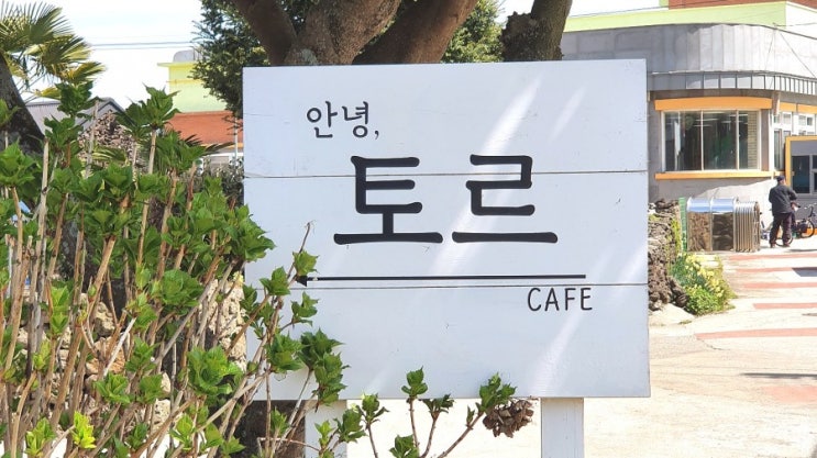  제주 조천 카페, 고양이가 반겨주는  안녕토르  (feat.상춘재)