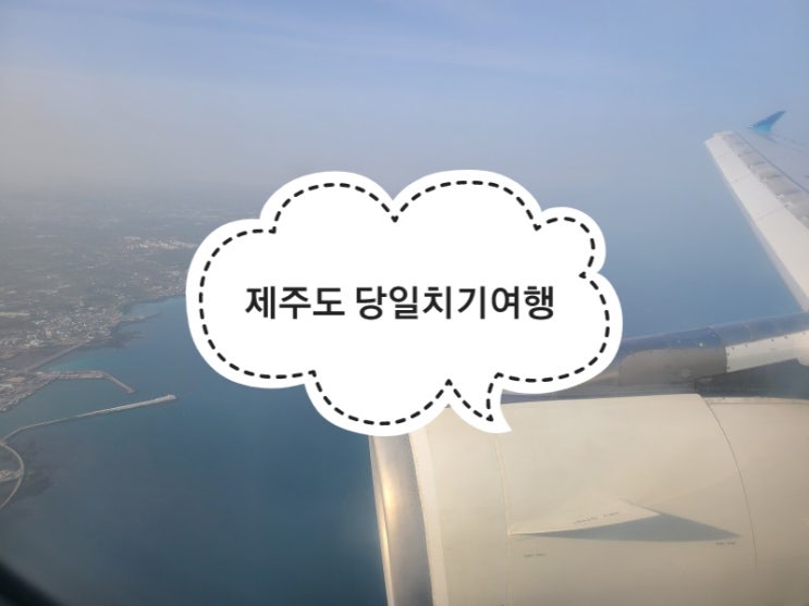 제주도 당일치기여행 tip 제주도닷컴 사전무인등록