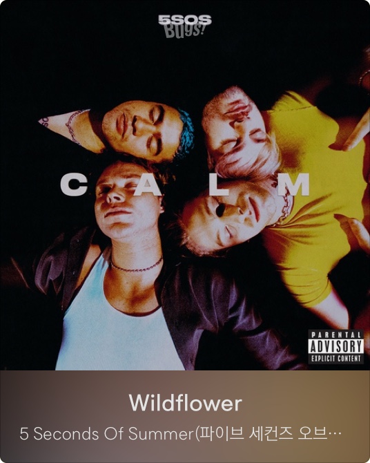 [노래추천] 산책하면서 듣기 좋은 노래 :: 5SOS Wildflower