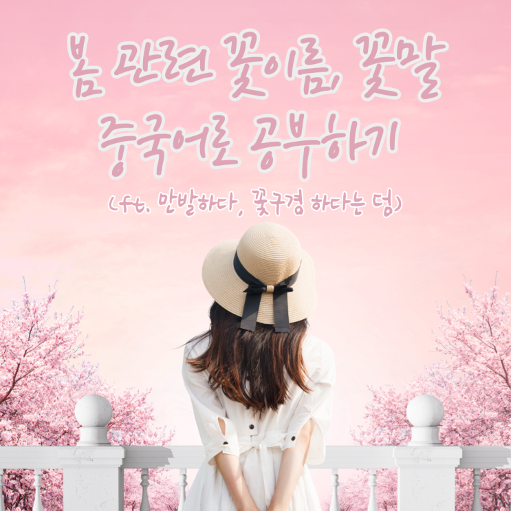  만발하다, 꽃구경하다 중국어로? (ft. 봄 꽃 이름, 꽃말 중국어)