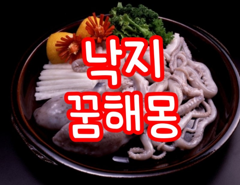 낙지잡는꿈 알아보겠습니다.