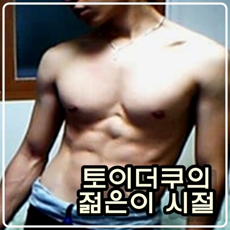 토이더쿠 손대니의 젊은이 시절 토이더쿠 손대니의 젊은이 시절