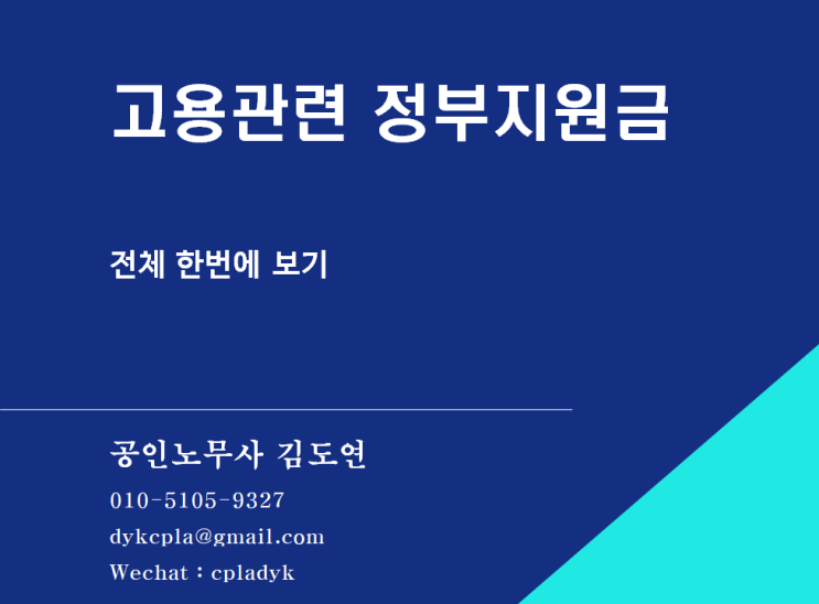  [정부지원금] 전체 종류 한번에 보기