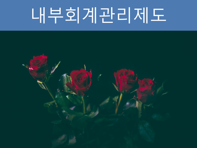  내부회계관리제도 비적정 등 투자주의환기종목 지정
