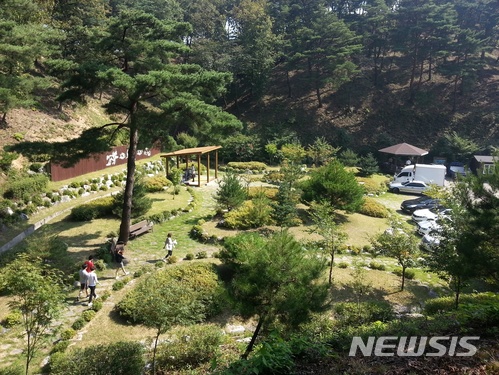 국민 65%, 수목장을 바람직한 장례 방법으로 인식 국민 65%, 수목장을 바람직한 장례 방법으로 인식