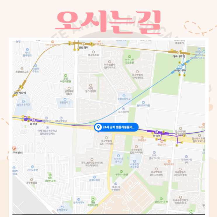  젠틀리동물의료센터 내원방법은 이렇게 진행돼요