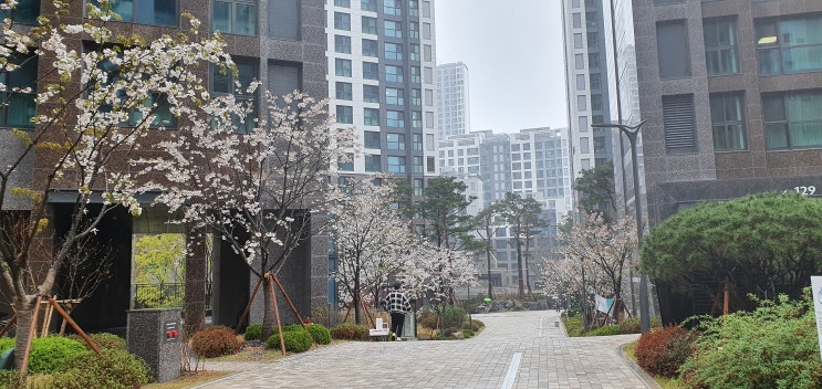  21.04.03) 귀한 전세 84  개포래미안 포레스트 입니다