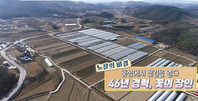 대생화훼농원 사진 3