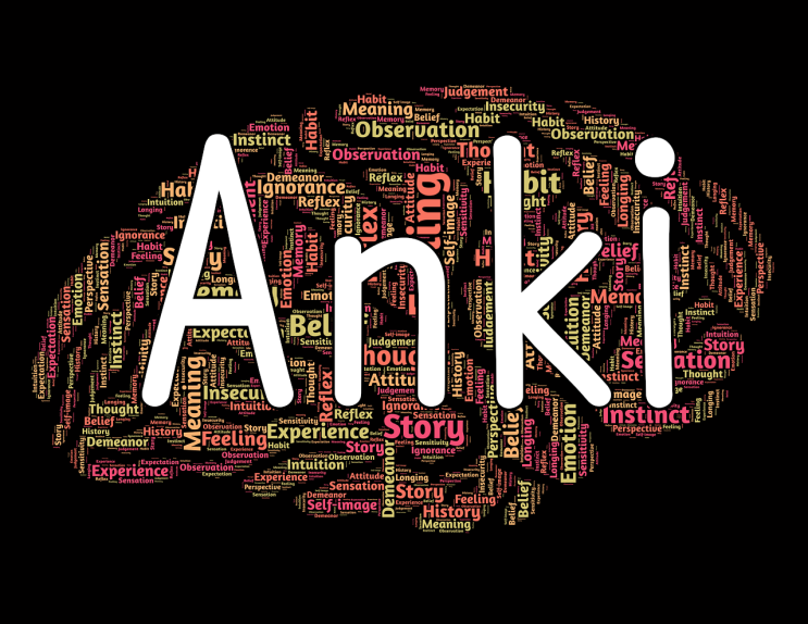  Anki , 지능형 암기 프로그램