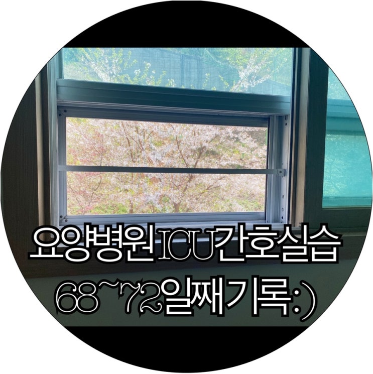  [간호조무사실습생 은느님]요양병원 ICU간호실습 68~72일째 기록 : )