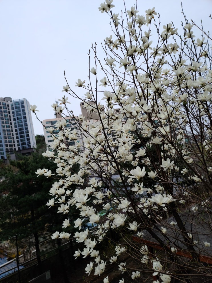  [줄눈실패] 행당동 아파트 줄눈시공 /행당동 부동산 평균시세