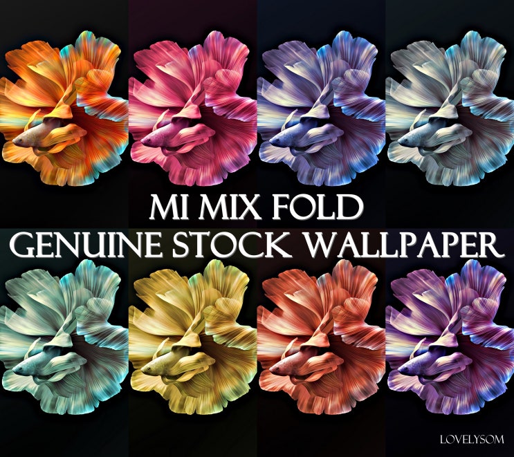  아이폰 12 프로 배경화면 & 갤럭시 S21 울트라 배경화면 [MI MIX FOLD] STOCK WALLPAPER