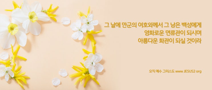 새일교회 난구절특강 | 35. 선지서에 대하여 새일교회 난구절특강 | 35. 선지서에 대하여