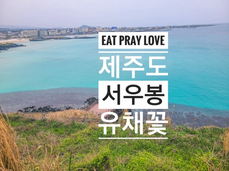 함덕해수욕장 서우봉 유채꽃 상황 2021월 3월 31일