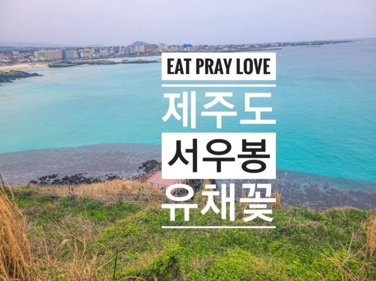  함덕해수욕장 서우봉 유채꽃 상황 2021월 3월 31일