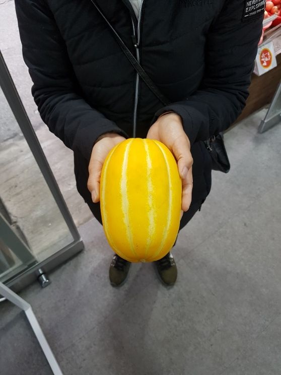  참외 껍질 효능과 설사 유발