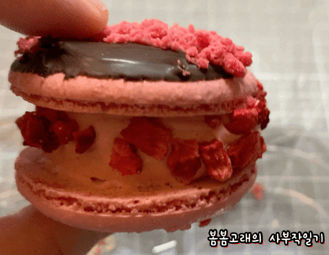  진짜 편의점 마카롱 맞아요? 너무 맛있어, 완전 추천 GS25 편의점 아이초코유 베리머치