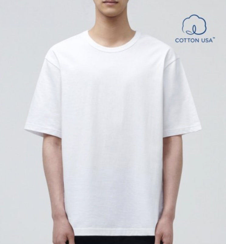 코디의 기본 무지 흰 티셔츠의 조건과 브랜드, 제품 추천 패션블로거 김검은