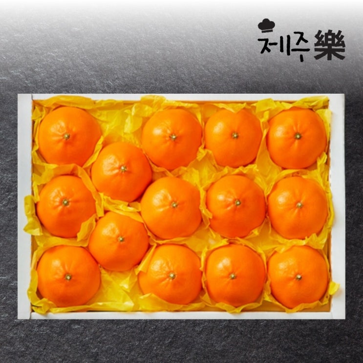 가성비 좋은 제주직송 천혜향 3kg 5kg 선물포장 / 프리미엄과 서귀포 직배송 밀감 감귤 레드향 한라봉 천혜향 황금향, 1) 프리미엄 천혜향 3kg(10과 내외) 추천해요 가성비 좋은 제주직송 천혜향 3kg 5kg 선물포장 / 프리미엄과 서귀포 직배송 밀감 감귤 레드향 한라봉 천혜향 황금향, 1) 프리미엄 천혜향 3kg(10과 내외) 추천해요