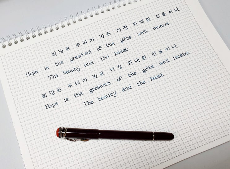  디즈니 애니 미녀와 야수 의 대사를 써봐요