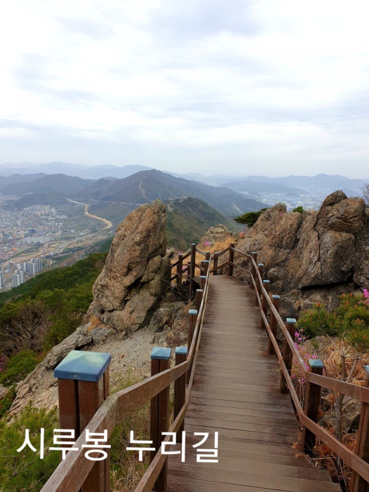 [창원등산]진해 시루봉 등산-진달래 능선-웅산-창원 안민고개 주차장 -벚꽃 산행 코스