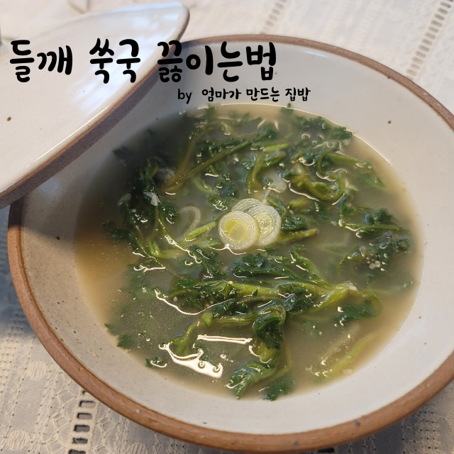  제철쑥 노지쑥 쑥고르는법 한식국 들깨쑥국 끓이기 쑥국 만든는법 쑥국 쓴맛없이 끓이기