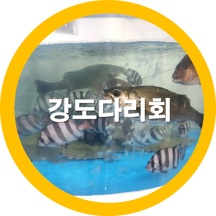  구미횟집 강도다리 먹으러 간곳이 한번씩 가던곳 포항회수산