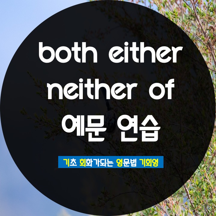 either neither both 수일치 - 기회영