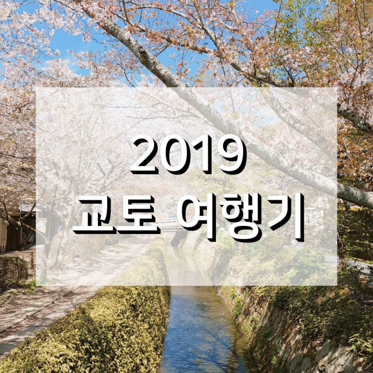  벚꽃놀이의 추억, 2019년 일본 교토 kyoto 벚꽃여행