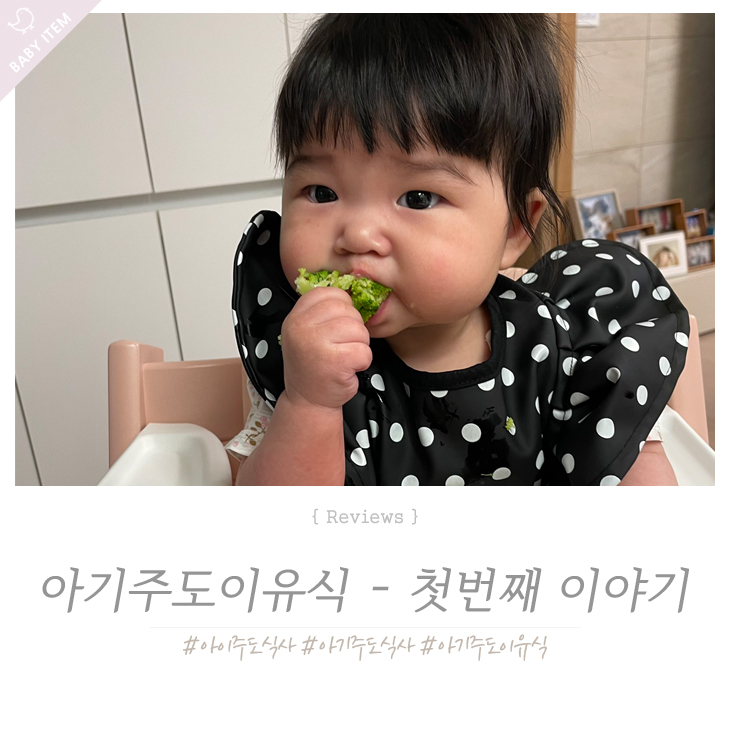  자기주도 이유식 시기, 이유식 거부 4개월아기 처음 BLW 시작했어요 !