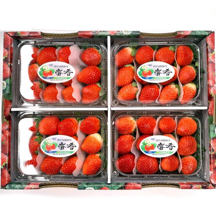 구매평 좋은 야채왕 달콤한 생딸기 2kg 좋아요 구매평 좋은 야채왕 달콤한 생딸기 2kg 좋아요