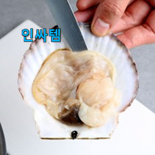 인기 새조개 샤브샤브 육수 세트 구매 후회 안할겁니다 ㅎㅎ 인기 새조개 샤브샤브 육수 세트 구매 후회 안할겁니다 ㅎㅎ