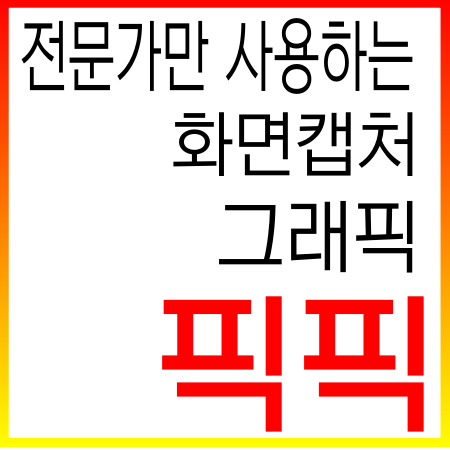  전문가만 사용하는 화면캡처 및 그래픽도구 "픽픽"