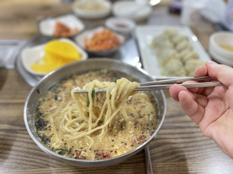 전주 금암면옥 본점 전북대 근처 맛집 금암동 칼국수 치즈돈까스 만두 추천