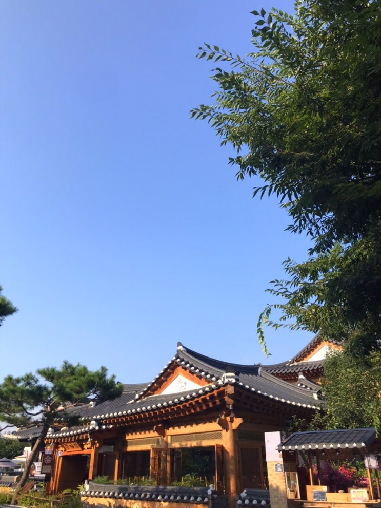  ️전주한옥마을 조용하게 즐기는 법(전주 축구여행#6)