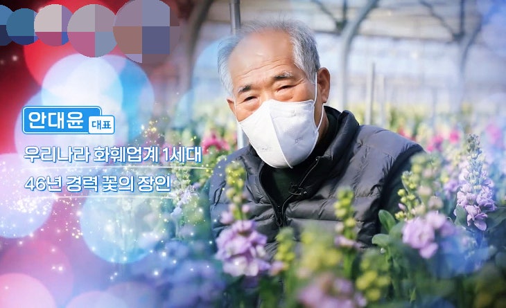 대생화훼농원 사진 4