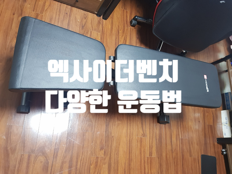 엑사이더 벤치 헬스기구 운동법! 엑사이더 벤치 헬스기구 운동법!