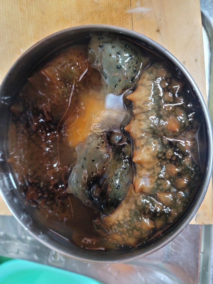  울릉도 해삼손질법과 해삼요리