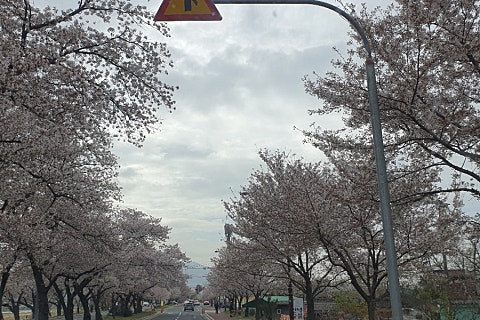패밀리섹소폰 이미지