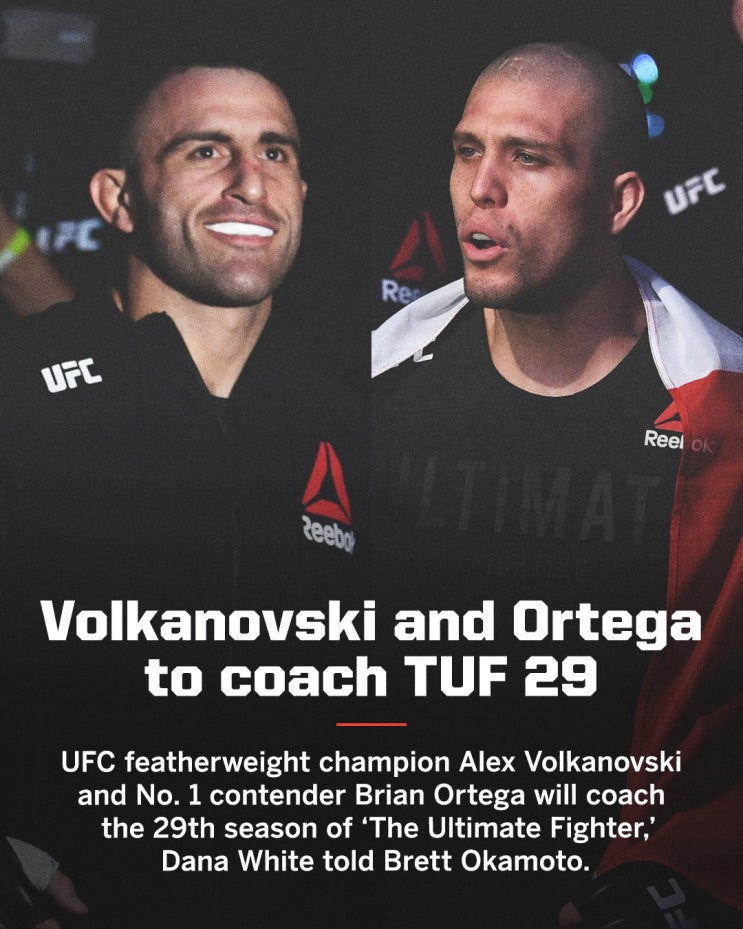 TUF 29: 알렉산더 볼카노프스키 VS 브라이언 오르테가 코치로.. 시즌 끝나고 타이틀전 등 MMA 뉴스 TUF 29: 알렉산더 볼카노프스키 VS 브라이언 오르테가 코치로.. 시즌 끝나고 타이틀전 등 MMA 뉴스