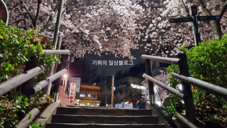 퇴근후 부모님과 함께 광교산 벚꽃 길 산책하고 왔어요 퇴근후 부모님과 함께 광교산 벚꽃 길 산책하고 왔어요