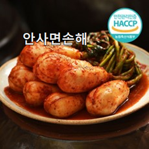 전문가추천 종가집 나박김치 3kg 아이템 추천합니다! 전문가추천 종가집 나박김치 3kg 아이템 추천합니다!