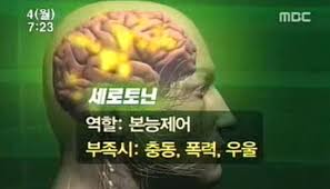  세로토닌결핍증상 우울증불면증 SSRI약물:트립토판 오메가3 마그네슘 비타민B군 효능